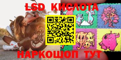 спиды Камышлов