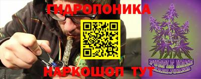 apvp Кандалакша