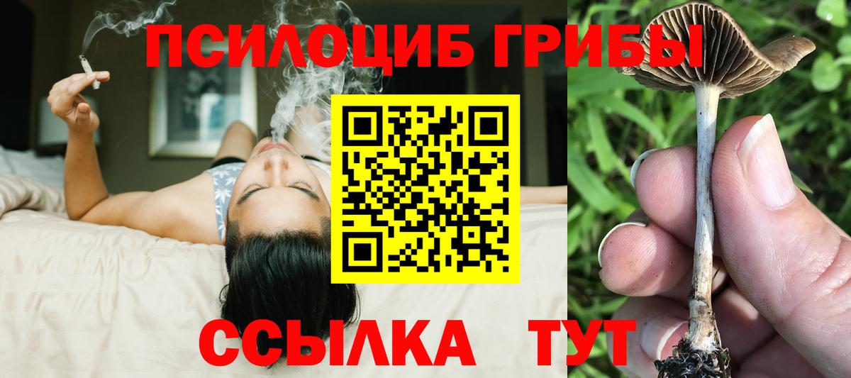 Псилоцибиновые грибы MAGIC MUSHROOMS  Псилоцибиновые грибы мицелий  Красный Сулин  Вход с VPN 